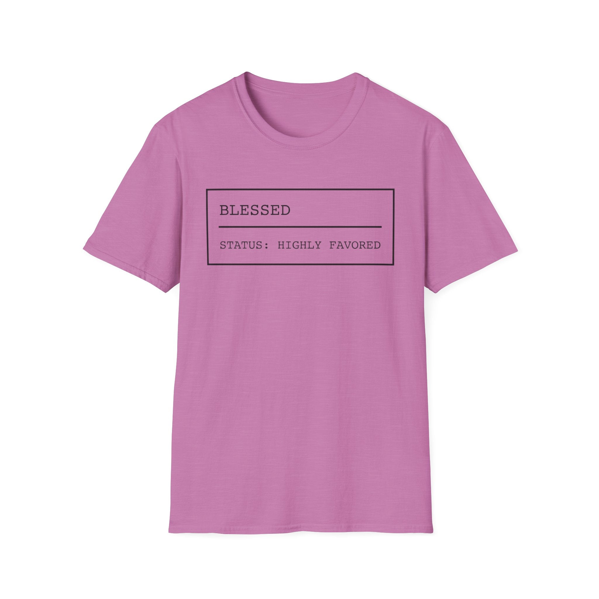 Blessed, Status: Highly Favored T-Shirt